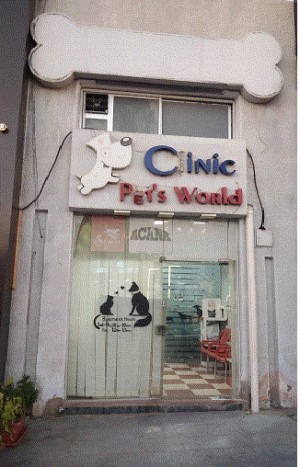 Pets world clinic
