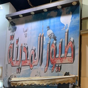 طيور المدينه