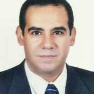 د.محمد عبد الفتاح