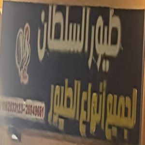 طيور السلطان